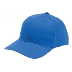 Pro-Lite Caps (Q163711) -Qualityimprint Shop Q163711 royal blue caps with logo 13