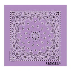 22 In Traditional USA Paisleys Bandana - Lavender (Q216522)