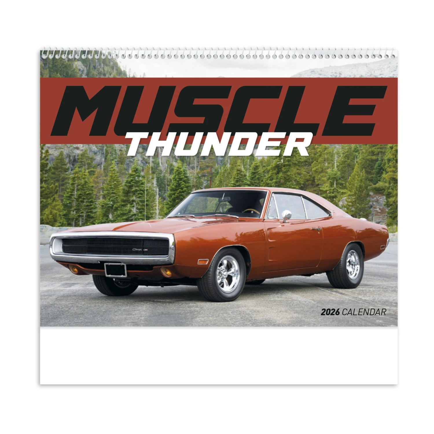 Muscle Thunder - Spiral (Q269811) 2 Muscle Thunder - Spiral (Q269811) - Image 2