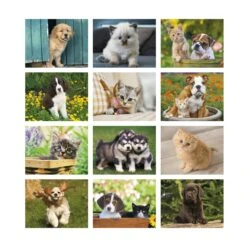 Puppies & Kittens - Spiral (Q369811) -Qualityimprint Shop Q369811 white month calendars withlogo 4