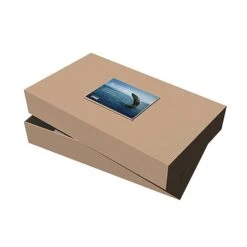 24" X 14" X 4" Kraft Pinstripe Apparel Debossed Box (Q390322)