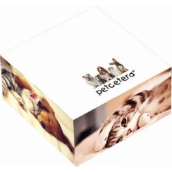 Souvenir® Sticky Note™ 3" W X 3" H X 1.5" D Adhesive Cube Sticky Notes (Q455311)