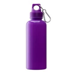 Brio 20 Oz. PS Water Bottle With Carabiner (Q480111) -Qualityimprint Shop Q480111 blank steel bottles with logo 4