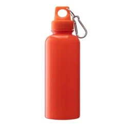 Brio 20 Oz. PS Water Bottle With Carabiner (Q480111) -Qualityimprint Shop Q480111 blank steel bottles with logo 6