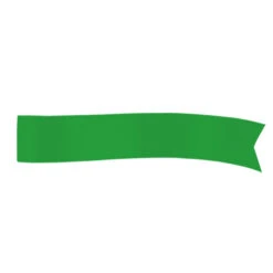 .63"W Soft Polyester Ribbon Rolls (Q610611) -Qualityimprint Shop Q610611 emerald green ribbons with logo 6