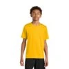 A4 Youth Cooling Performance Short Sleeve Tee (Q664332)
