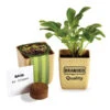 Flower Pot Set With Basil Seeds (Q667511) -Qualityimprint Shop Q667511 planters with logo 1