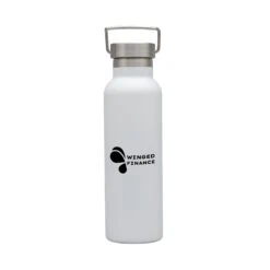 Splendid 22 Oz. Double Wall Stainless Steel Bottle (Q770111)