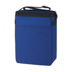 Budget Cooler (12 Pack ) (Q896255) -Qualityimprint Shop Q896255 blank cooler bags with logo 2