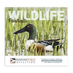 Wildlife Portraits - Spiral (Q969811)