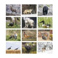 Wildlife Portraits - Spiral (Q969811) -Qualityimprint Shop Q969811 white months calendars withlogo 4